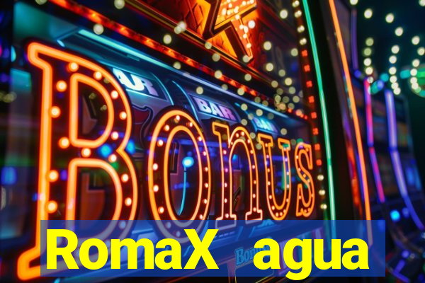 RomaX agua sanitaria fispq agua sanitaria romax